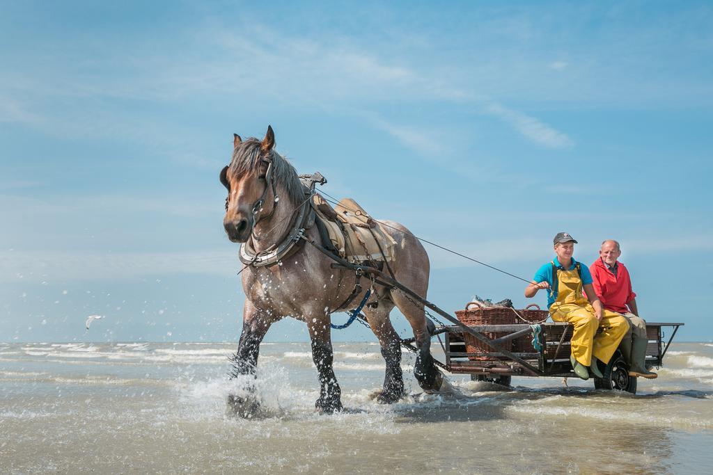 Jeugdherberg De Peerdevisser Oostduinkerke Dış mekan fotoğraf